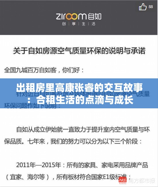 出租房里高康张睿的交互故事：合租生活的点滴与成长