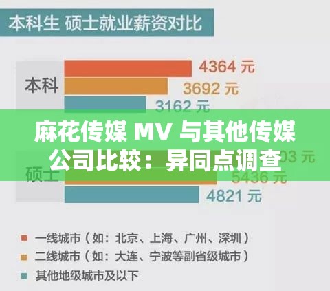 麻花传媒 MV 与其他传媒公司比较：异同点调查