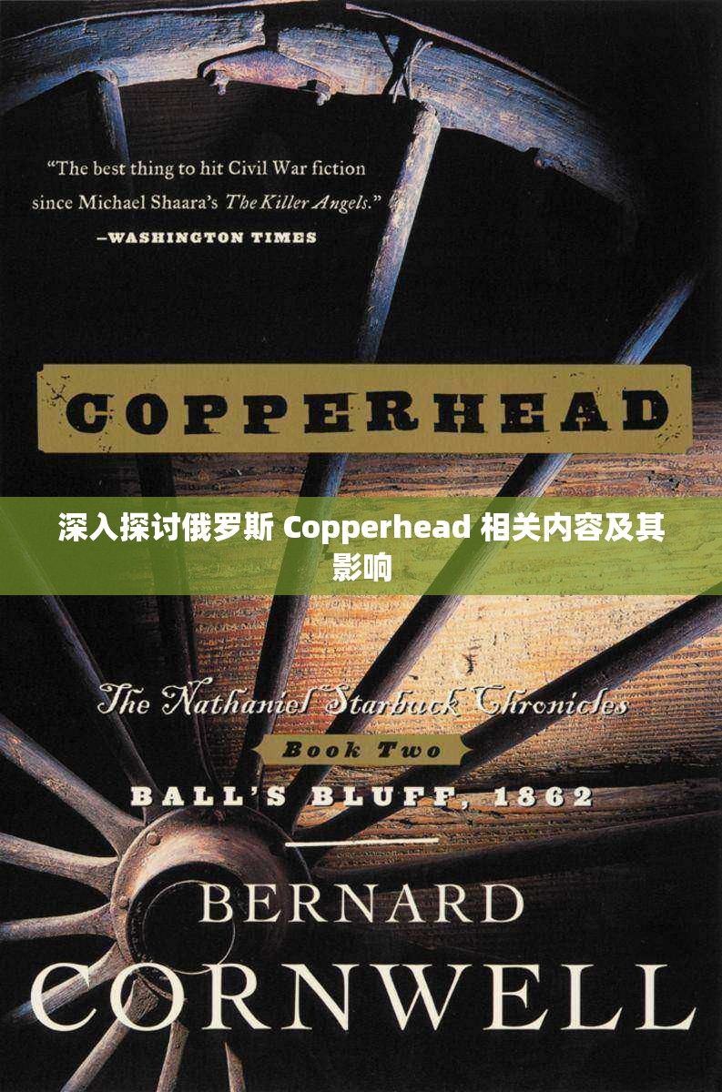 深入探讨俄罗斯 Copperhead 相关内容及其影响