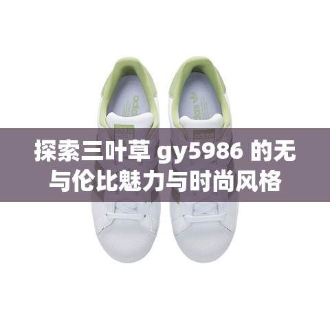 探索三叶草 gy5986 的无与伦比魅力与时尚风格