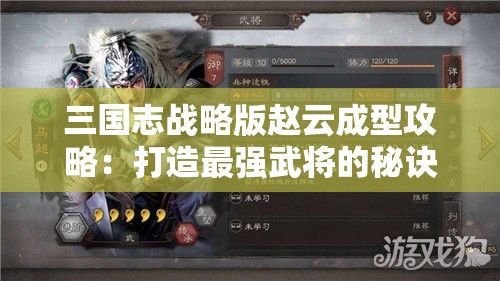 三国志战略版赵云成型攻略：打造最强武将的秘诀