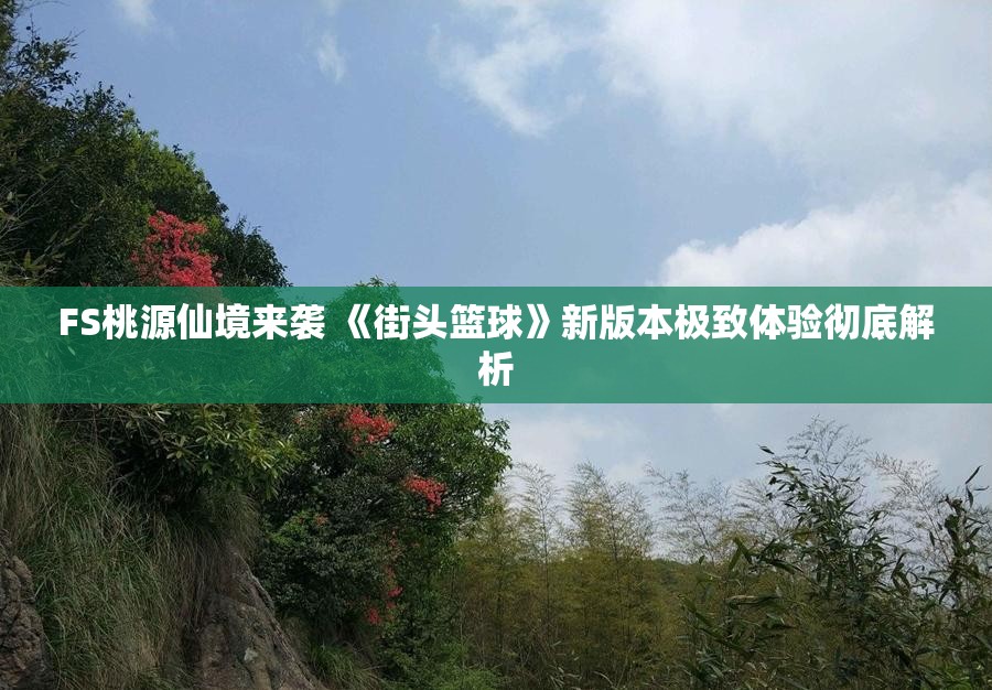 FS桃源仙境来袭 《街头篮球》新版本极致体验彻底解析