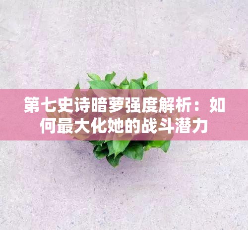 第七史诗暗萝强度解析：如何最大化她的战斗潜力