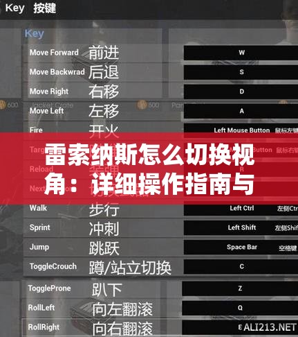 雷索纳斯怎么切换视角：详细操作指南与技巧